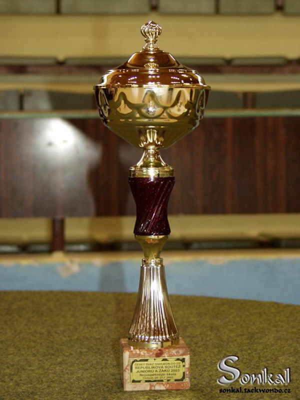 Cup for the most succesful school (Sonkal)